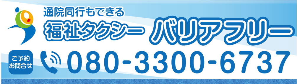 福祉タクシーバリアフリー 豊橋市